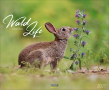 Cover-Bild zum Titel 'WaldLife 2027' von ''