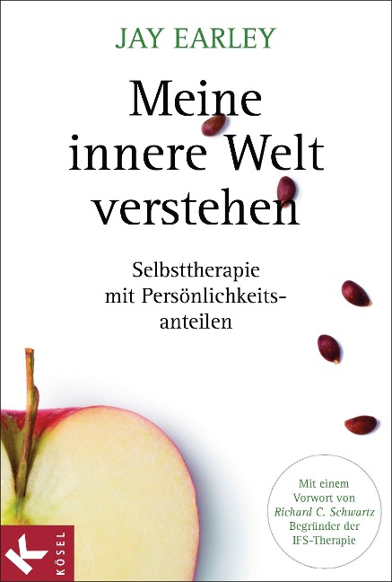 Meine innere Welt verstehen - Jay Earley