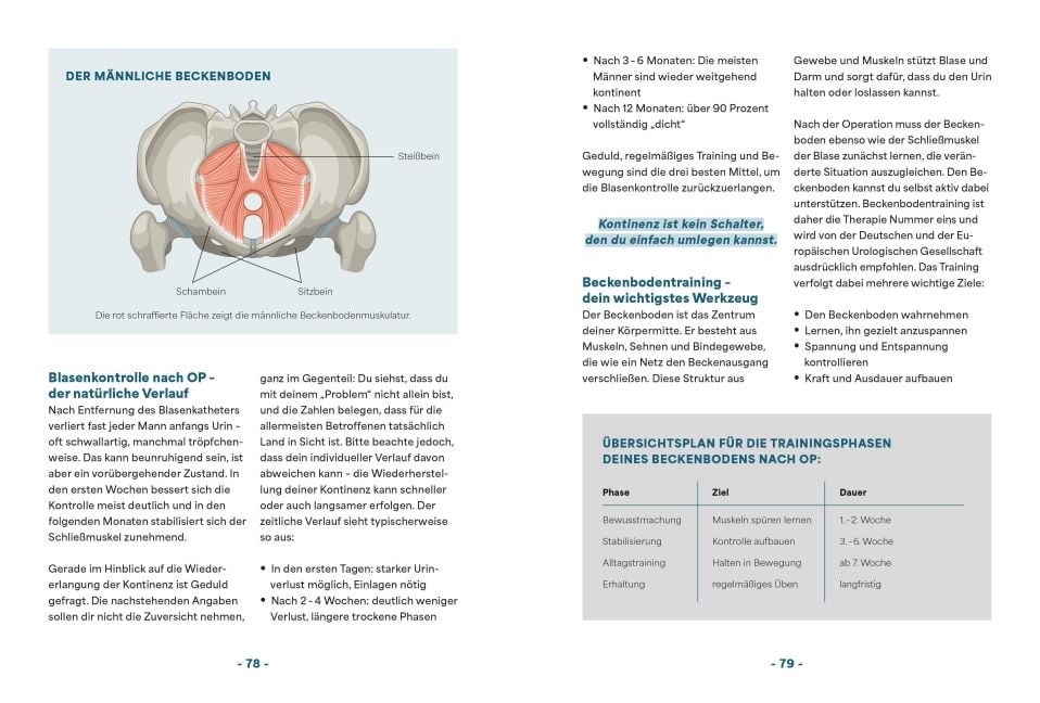 InsideView 5