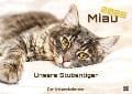 Miau - Unsere Stubentiger - Der Katzenkalender - 2025 - Kalender DIN A2 - 