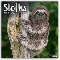 Sloths - Faultiere 2025 - 16-Monatskalender - Avonside Publishing Ltd