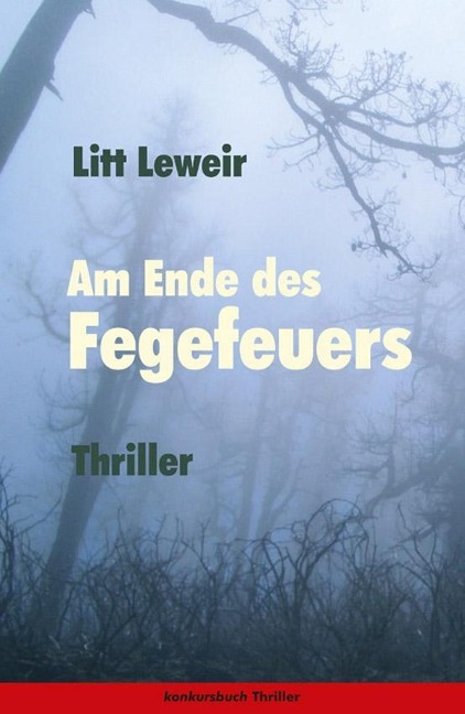 Am Ende des Fegefeuers. Thriller - Litt Leweir