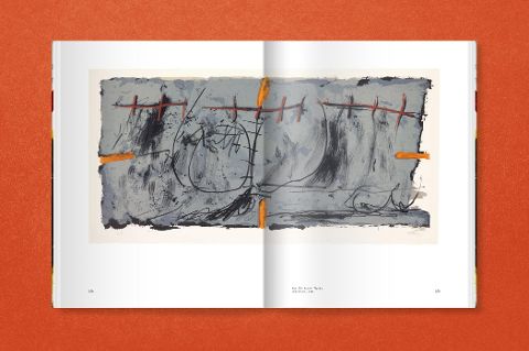 InsideView 13