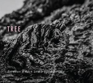 Between a Rock and a Hard Place - Tree