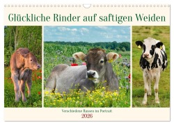 Cover-Bild zum Titel 'Glückliche Rinder auf saftigen Weiden (Wandkalender 2026 DIN A3 quer), CALVENDO Monatskalender' von 'Claudia Kleemann'