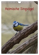 Heimische Singvögel (Wandkalender 2026 DIN A4 hoch), CALVENDO Monatskalender - Kattobello Kattobello