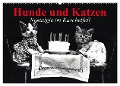 Hunde und Katzen - Nostalgie im Kuschelfell (Wandkalender 2024 DIN A2 quer), CALVENDO Monatskalender - Elisabeth Stanzer