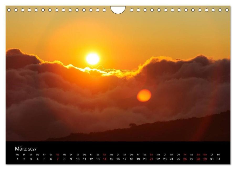 InsideView 8