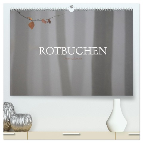 Rotbuchen (hochwertiger Premium Wandkalender 2025 DIN A2 quer), Kunstdruck in Hochglanz - Ralf Weise