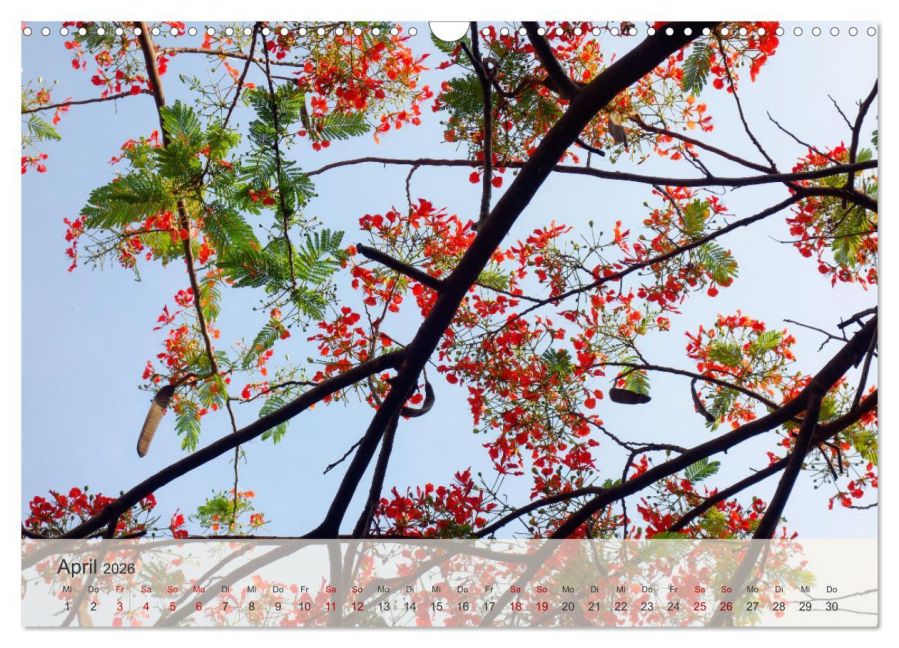 InsideView 9