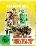 Cover-Bild zum Titel 'Verflucht, verdammt und Halleluja' von 'Enzo Barboni, Guido De Angelis, Maurizio De Angelis'