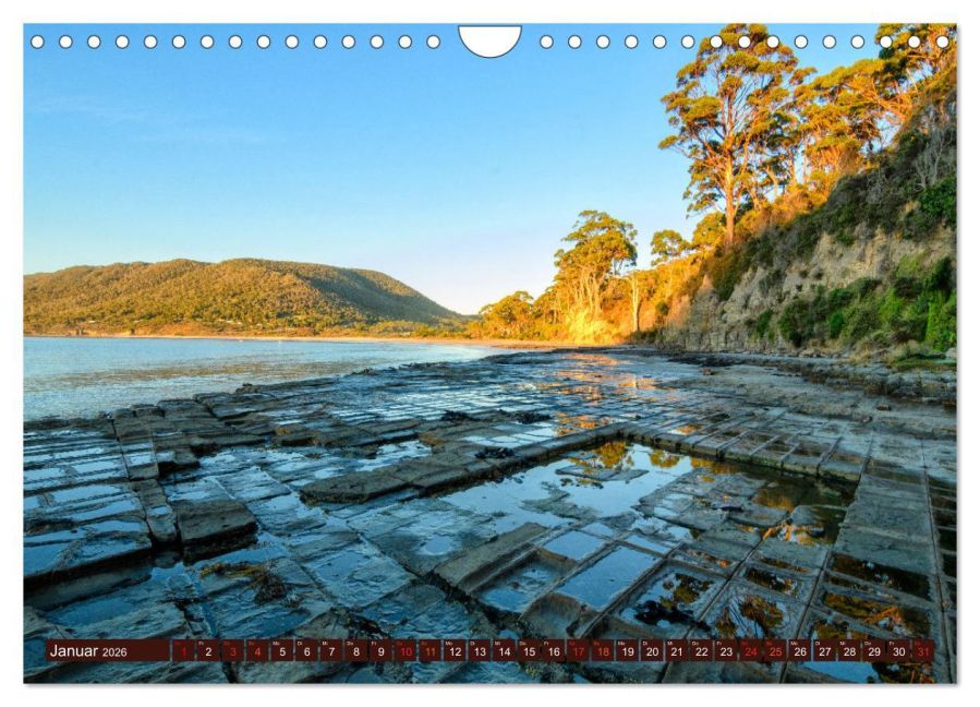 InsideView 6
