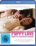 Cover-Bild zum Titel 'Puppylove - Erste Versuchung' von 'Martin Coiffier, Delphine Lehericey, Soldou T'