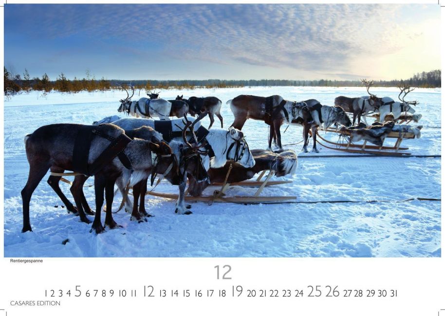 InsideView 12