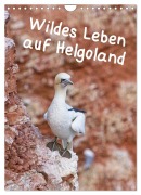 Cover-Bild zum Titel 'Wildes Leben auf Helgoland (Wandkalender 2026 DIN A4 hoch), CALVENDO Monatskalender' von 'Kathrin Voss'