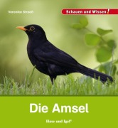 Die Amsel - Veronika Straaß