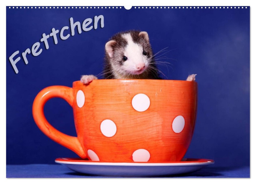 Frettchen - Ferrets (Wandkalender 2026 DIN A2 quer), CALVENDO Monatskalender - Jeanette Hutfluss