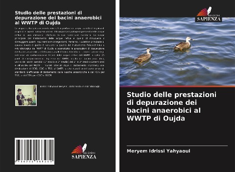 Studio delle prestazioni di depurazione dei bacini anaerobici al WWTP di Oujda - Meryem Idrissi Yahyaoui