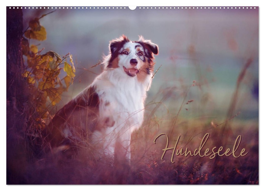 Hundeseele (Wandkalender 2025 DIN A2 quer), CALVENDO Monatskalender - Katrin Buttkau
