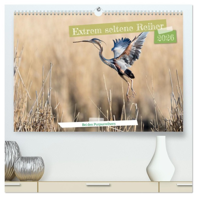 Extrem seltene Reiher (hochwertiger Premium Wandkalender 2026 DIN A2 quer), Kunstdruck in Hochglanz - Frederic Bauer