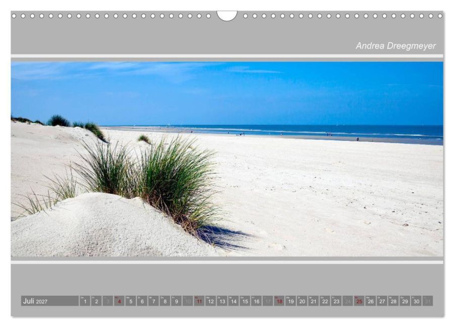 InsideView 12