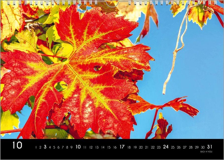 InsideView 10
