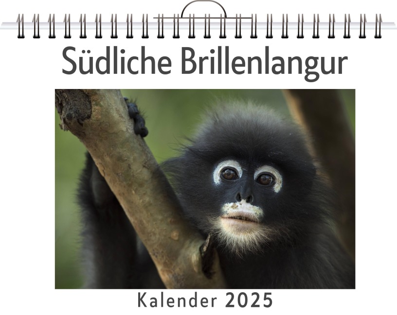 Südliche Brillenlangur - Clara Zimmermann