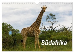 Cover-Bild zum Titel 'Südafrika (Wandkalender 2026 DIN A4 quer), CALVENDO Monatskalender' von 'Dieter Gödecke'
