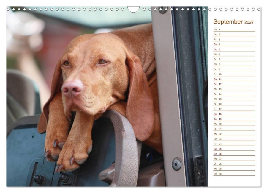 InsideView 14