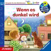 Cover-Bild zum Titel 'Wenn es dunkel wird [Wieso? Weshalb? Warum? JUNIOR Folge 28]' von ''