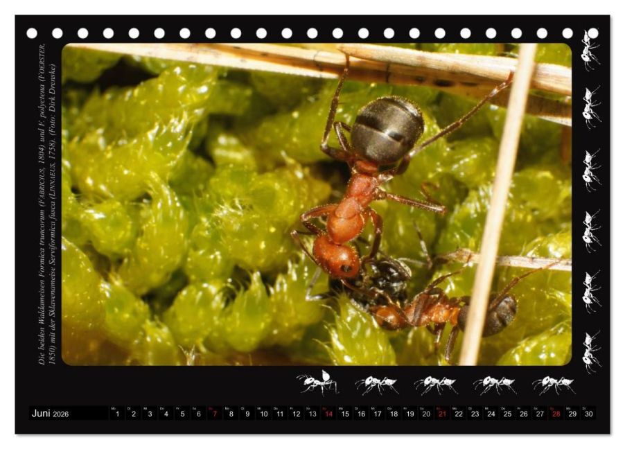 InsideView 11