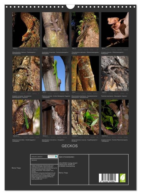 InsideView 5