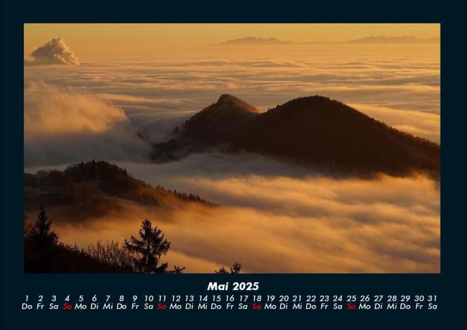 InsideView 9