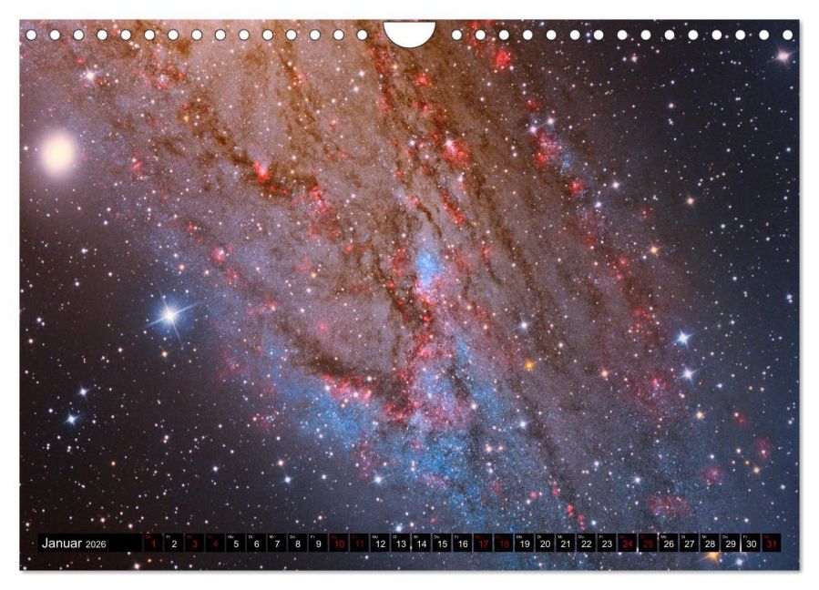 InsideView 6