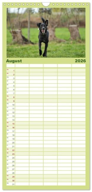 InsideView 13
