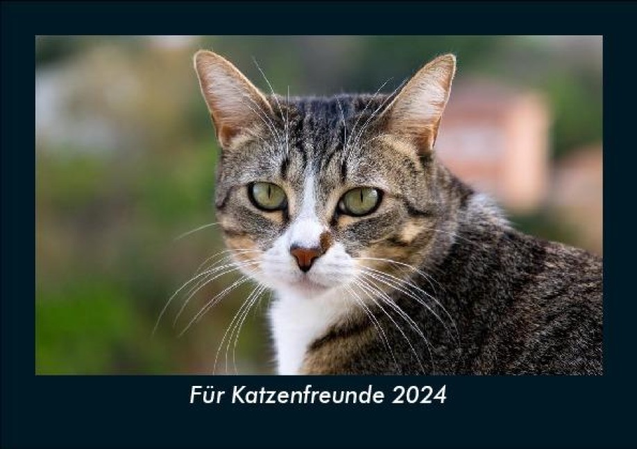 Für Katzenfreunde 2024 Fotokalender DIN A5 - Tobias Becker