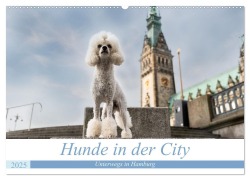 Hunde in der City - Unterwegs in Hamburg (Wandkalender 2025 DIN A2 quer), CALVENDO Monatskalender - Sonja Teßen