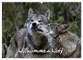 Willkommen Wolf (Wandkalender 2025 DIN A2 quer), CALVENDO Monatskalender - Benny Trapp