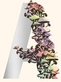 Cover-Bild zum Titel 'Ambergris' von 'Jeff VanderMeer'