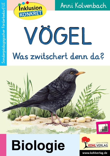 Vögel - Anni Kolvenbach