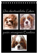 Cover-Bild zum Titel 'Das abenteuerliche Leben zweier verwegener Cavaliere (Tischkalender 2026 DIN A5 hoch), CALVENDO Monatskalender' von 'Eva Ola Feix'