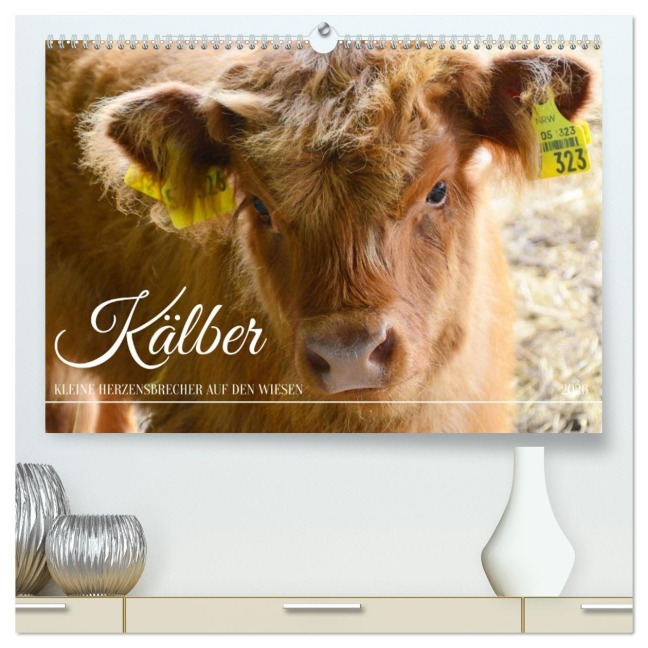 Kälber - Kleine Herzensbrecher auf den Wiesen (hochwertiger Premium Wandkalender 2026 DIN A2 quer), Kunstdruck in Hochglanz - DeVerviers Photographer