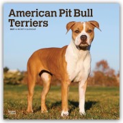 Cover-Bild zum Titel 'American Pit Bull Terriers 2027 - 16-Monatskalender' von 'Browntrout Publishers'
