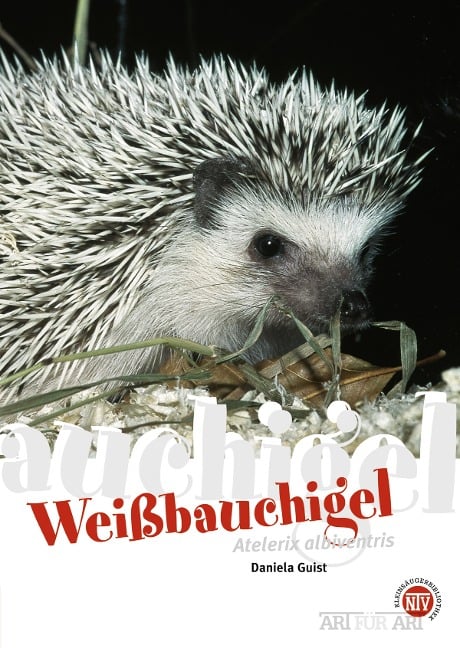 Weißbauchigel - Daniela Guist