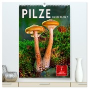 Cover-Bild zum Titel 'Pilze - kleine Riesen (hochwertiger Premium Wandkalender 2026 DIN A2 hoch), Kunstdruck in Hochglanz' von 'Peter Roder'
