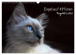 Cover-Bild zum Titel 'Engel auf 4 Pfoten - Ragdolls 2026 (Wandkalender 2026 DIN A3 quer), CALVENDO Monatskalender' von 'Marion Reiß - Seibert'
