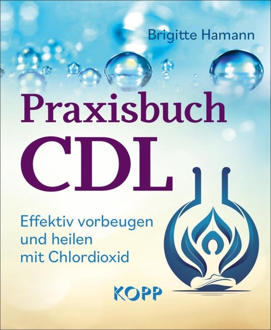 Praxisbuch CDL - Brigitte Hamann
