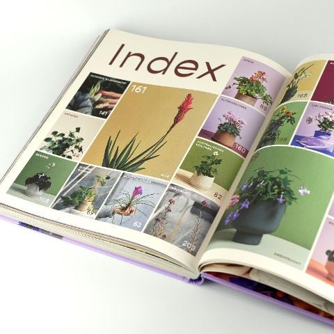 InsideView 8
