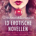 Cover-Bild zum Titel 'Weihnachtswunsch - 13 erotische Novellen' von 'Camille Bech, Irse Kræmer, Katja Slonawski, Andrea Hansen, Malin Edholm'