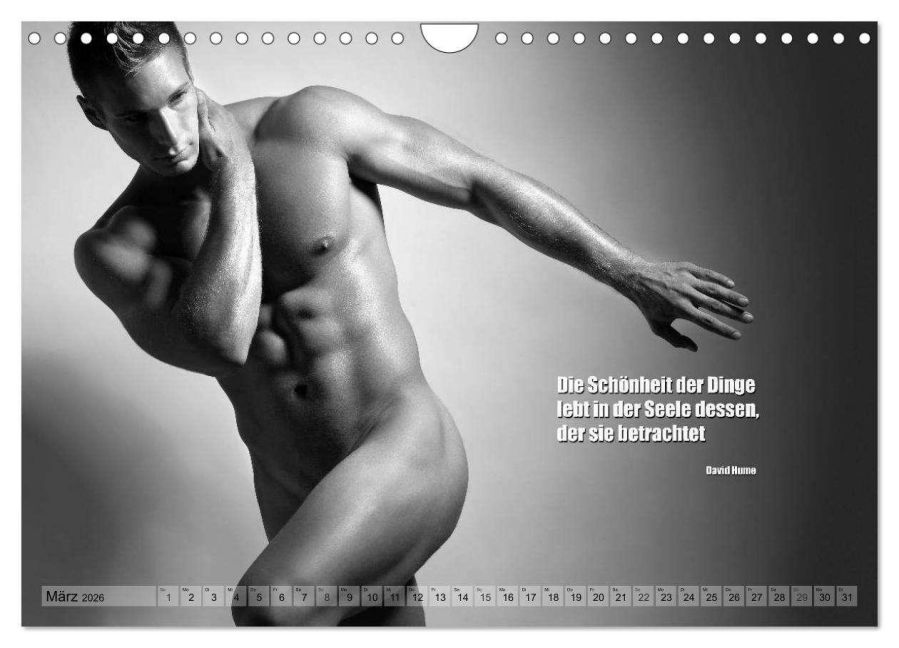 InsideView 8